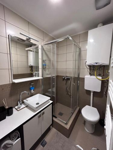 ein Bad mit einer Dusche, einem WC und einem Waschbecken in der Unterkunft Vlasic Apartmani HANA in Vršac