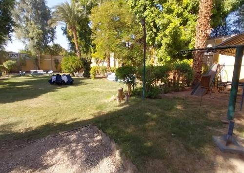 a dog sitting in the grass in a yard at Rezeiky Hotel & Camp in Luxor