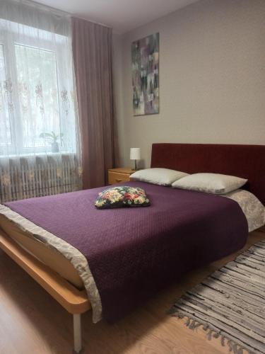 sypialnia z dużym łóżkiem i fioletowym kocem w obiekcie Lake apartment w mieście Wisaginia