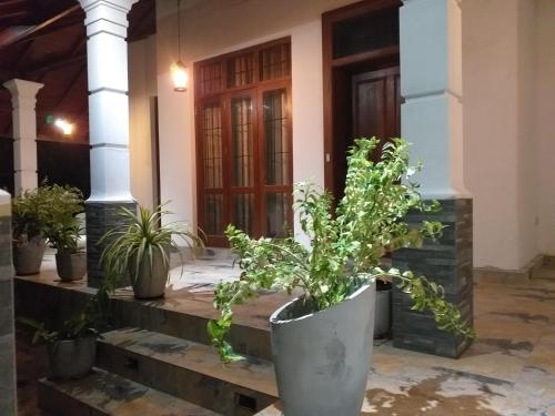 a group of potted plants in front of a door at Bel vedere in Minuwangoda