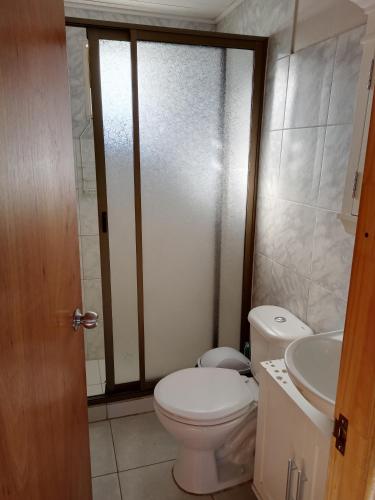 ein Bad mit einem WC und einem Waschbecken in der Unterkunft Cabaña Don Tito en Buchupureo in Cobquecura