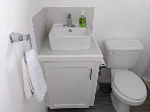 La salle de bains est pourvue d'un lavabo blanc et de toilettes. dans l'établissement Spice Isle Apt 3, à DʼArbeau