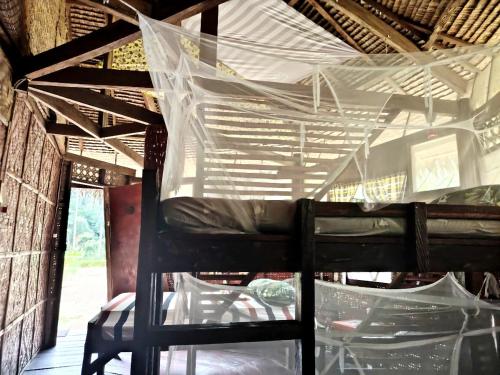 Φωτογραφία από το άλμπουμ του Nuts Huts σε Loboc