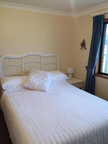 a bedroom with a white bed with blue curtains and a window at South Pacific in Scotts Head