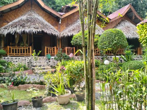 una casa con un montón de plantas delante de ella en Junia Guesthouse Bukit Lawang, en Bukit Lawang