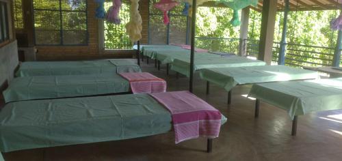 fila de camas en una habitación con ventanas en COZY YALA, en Kirinda