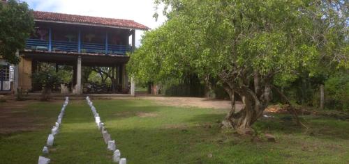 un patio con un árbol y un edificio en COZY YALA, en Kirinda