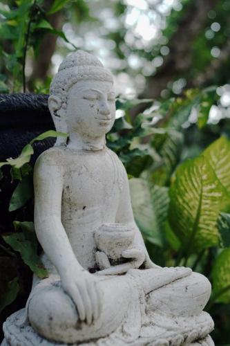 Sattva Yoga retreat villas