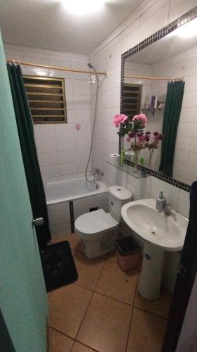 ein Badezimmer mit einem Waschbecken, einem WC und einem Waschbecken in der Unterkunft Habitación hogareña in Curicó