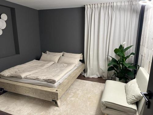 a bedroom with a bed and a chair and a plant at Architektenhaus am Waldrand mit Sauna in Schwabach