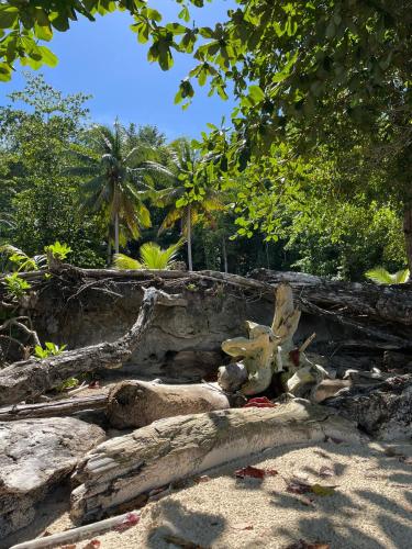 a deer laying on the sand in a forest at Tanjung Kalemo Resort in Batudaka
