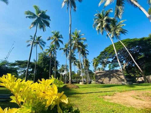 a group of palm trees in a park with grass at Deduru Cabana Nature Resort in Kurunegala