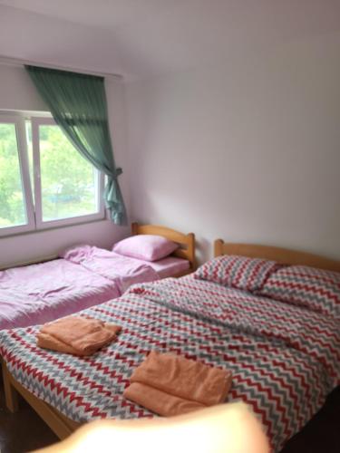 two beds sitting next to each other in a bedroom at Apartment Pavlovic in Soko Banja