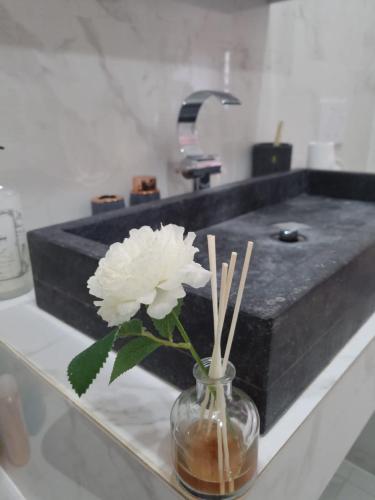 a vase with a white flower in front of a sink at Appartement 3 chambres Centre Vilvoorde Bruxelles BrusselsAirport Expo NATO Anvers Wifi Free Parking in Vilvoorde
