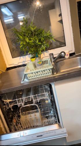 a dishwasher with a dish drying rack and a plant at Appartement 3 chambres Centre Vilvoorde Bruxelles BrusselsAirport Expo NATO Anvers Wifi Free Parking in Vilvoorde