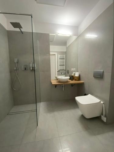 クリニツァ・ズドルイにあるApartament z widokiem Cicha 16B1のバスルーム(シャワー、トイレ、シンク付)