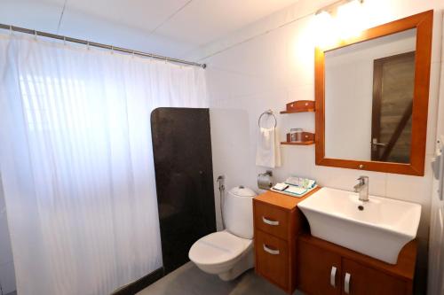 a bathroom with a toilet and a sink and a mirror at Hummingbird Resort in Mount Ābu