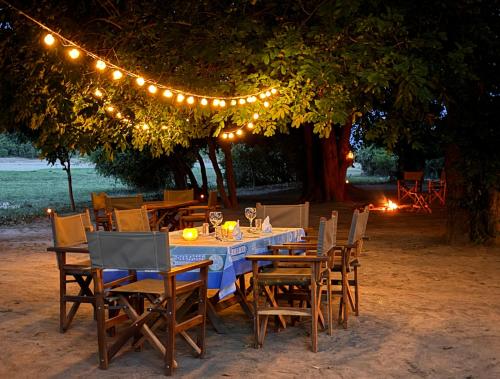 a table with chairs and lights under a tree at Msandile River Lodge in Kakumbi