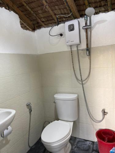 a bathroom with a toilet and a shower at Villa Eliza Ecofarm in Tibiao