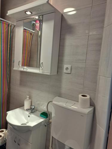 モクラ・ゴラにあるMokrogorska kucaのバスルーム(トイレ、洗面台、鏡付)