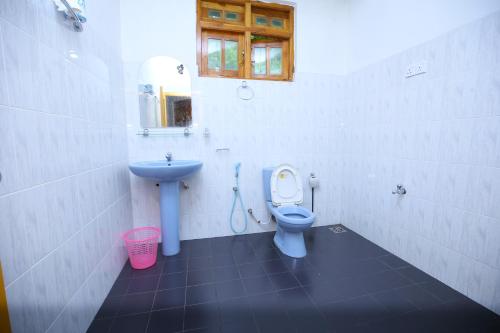 a bathroom with a blue toilet and a sink at Rose Villa Ella in Ella