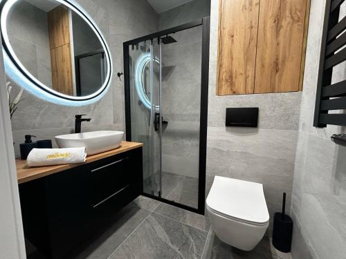 a bathroom with a toilet and a sink and a mirror at Emihouse Riverside Apartments in Rzeszów