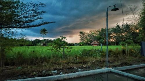 a view of a field with a street light at Tropical Jungle lodge & Jungle trekking in Bukit Lawang