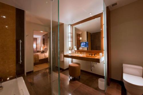 邁阿密的住宿－邁阿密馬奎斯JW萬豪酒店，一间带水槽、卫生间和淋浴的浴室