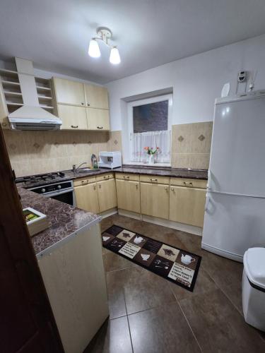 een keuken met een witte koelkast en een wastafel bij Grand Central House in Odorheiu Secuiesc