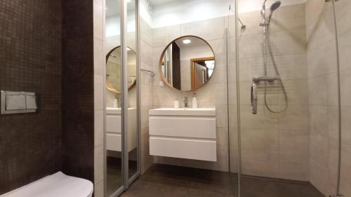 カルパチにあるApartament Szmaragdのバスルーム(シャワー、シンク、鏡付)