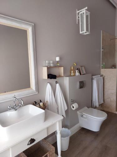 La salle de bains est pourvue d'un lavabo, de toilettes et d'un miroir. dans l'établissement The White Bloom Villa, à Langebaan