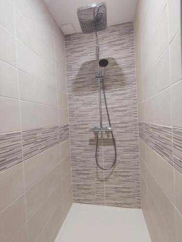 une douche avec pommeau de douche dans une salle de bain dans l'établissement Gîte Les Deux Ailes, à Saint-Claude-de-Diray