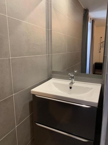 a bathroom with a sink and a mirror at Élégant F2 luxueux proche Suisse in Delle