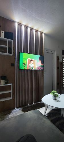 Marinkovic 2 stan na danにあるテレビまたはエンターテインメントセンター