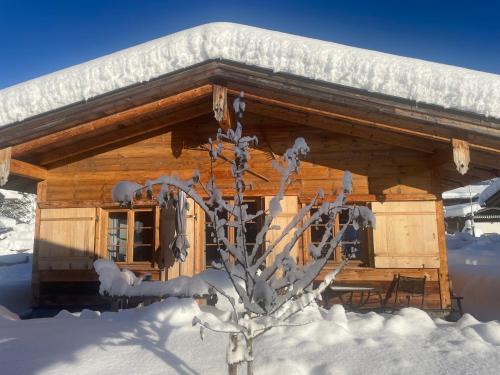 a cabin covered in snow with a tree in front at Chalets Alpglück in Oberstdorf