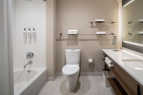 a bathroom with a toilet and a tub and a sink at Delta Hotels by Marriott Wichita Falls Convention Center in Wichita Falls