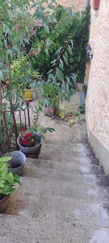 Κήπος έξω από το Chez Sylvie