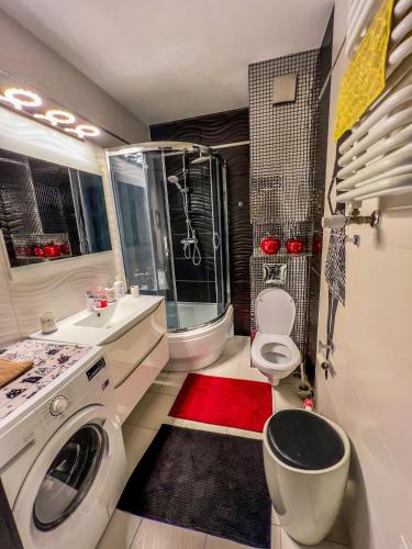 La salle de bains est pourvue d'un lavabo et d'un lave-linge. dans l'établissement Apartment by Opieszyn, à Września
