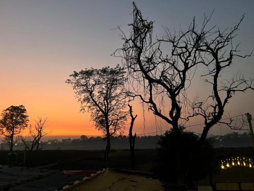 a sunset with two trees in the foreground at Deer’s Den by Orexia in Rishīkesh