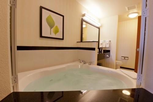 a large white bath tub in a bathroom at Fairfield Inn and Suites Flint Fenton in Fenton