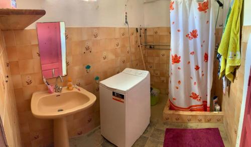 La petite salle de bains est pourvue d'un lavabo et d'un rideau de douche. dans l'établissement Maison exurville, à Le Robert