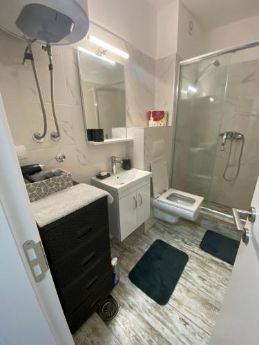 uma casa de banho com um chuveiro, um lavatório e um WC. em Apartman Dunja em Divčibare
