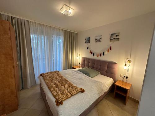 Brauner Bär mit tollen Ausblick