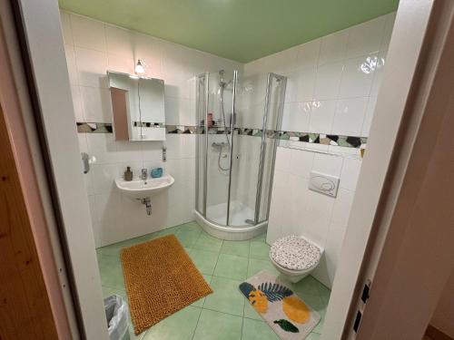 La salle de bains est pourvue d'une douche, de toilettes et d'un lavabo. dans l'établissement Brauner Bär, à Altenberg
