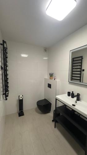 a bathroom with a toilet and a sink and a mirror at Sasanka LZ in Lądek-Zdrój