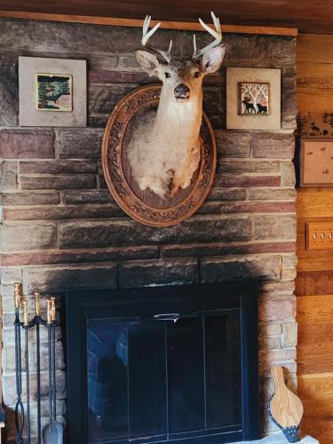 ein Bild eines Hirschkopfes an einer Wand über einem Kamin in der Unterkunft The White Conifer Cabin 