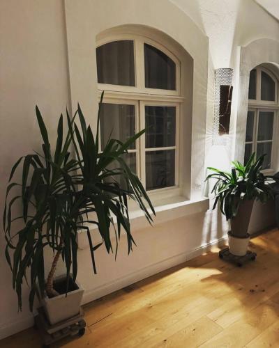 Φωτογραφία από το άλμπουμ του Boardinghouse am Herforder Tor für 8 Personen auf 185 m2 σε Bad Salzuflen