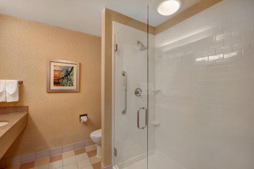 a bathroom with a shower and a toilet at Fairfield Inn & Suites by Marriott Detroit Metro Airport Romulus in Romulus