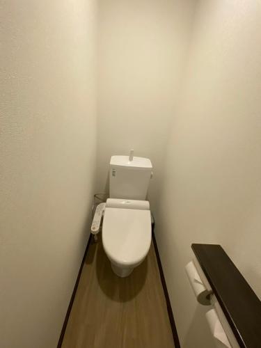a bathroom with a white toilet in a room at MR TOMO FUJI in Fuji