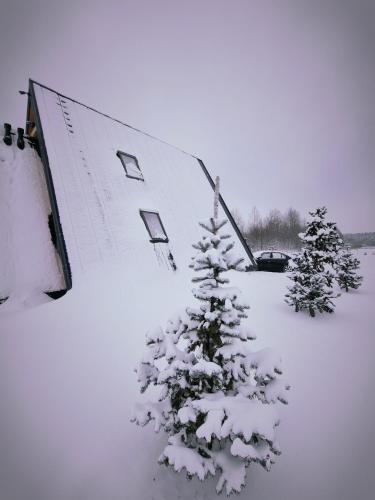 Domki Żabiniec semasa musim sejuk